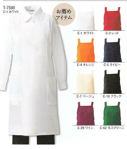 Gv arbe `gZ ăGv X^ T-7500 D[v y|Pbg etH ͂Eh 8F