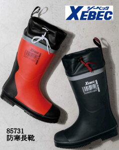 hC W[xbN 85731 xebec cȂ