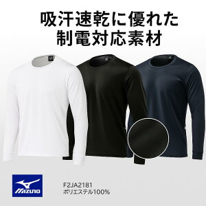 �~�Y�m �N���[�l�b�N���[�NT�V���c ���� F2JA2181 �|���G�X�e��100% �z������ ���d �����Y �|�X�g������������ ������s��