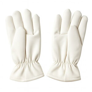 vtBXg21 h  PUeuN[ PU-047 {A x ʐ |Xg s