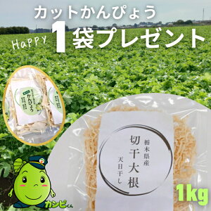 1kg`yVze×Z[IY@Y V ؊卪 Ȗ،Y ۑHEɁ