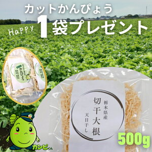 500g`yVze×Z[IY@Y V ؊卪 Ȗ،Y ۑHEɁ