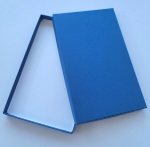 X}[g^[Ή \蔠iMtg{bNXj lCr[ 10Zbg 165