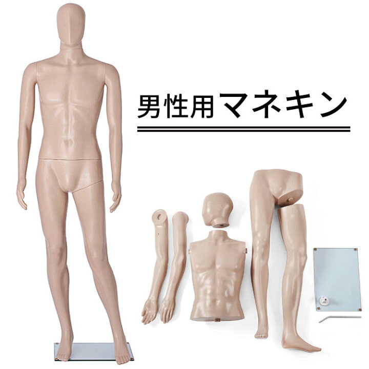 楽天市場】送料無料 男性用マネキンGM-2S 全身 / トルソー 人形 170 