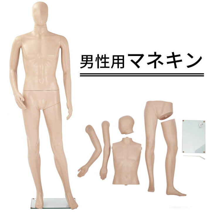 楽天市場】男性用マネキンGM-1Sマネキン トルソー メンズ 全身 