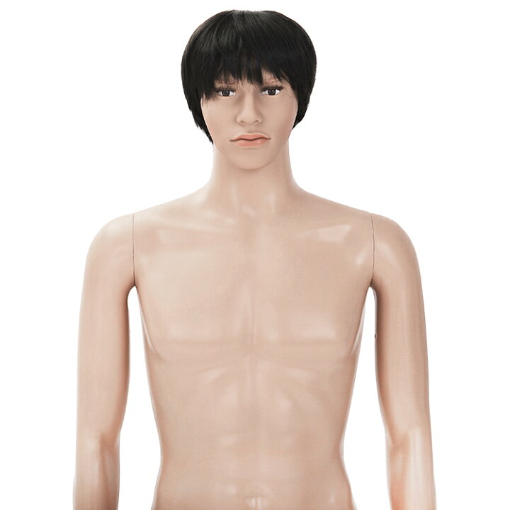 楽天市場】ひざ上トルソー メンズ 高さ115cm 【Y体】 B98×W76×H94cm  