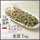 コーヒー生豆 1kg インドネシア マンデリン ブルーバタック 送料無料 大山珈琲
