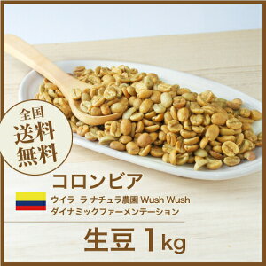 R[q[  RrA EC  i`_ Wush Wush _Ci~bNt@[e[V  XyVeB yDRIP TRIPz1kg 2kg 5kg 10kg
