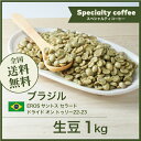 コーヒー 生豆 ブラジル EROS サントス セラード ドライド オン トゥリー 珈琲 スペシャルティ 送料無料【DRIP TRIP】1kg 2kg 5kg 10kg