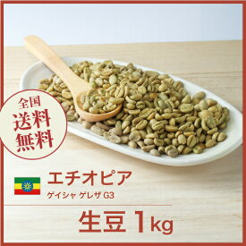 コーヒー生豆 1kg エチオピア ゲイシャ ゲレザ G3 送料無料 大山珈琲