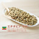 コーヒー 生豆 モカ シャキッソ TadeGG農園 G-1 ナチュラル (有機JAS栽培) Q1 珈琲 スペシャルティ 送料無料【DRIP TRIP】1kg 2kg 5kg 10kg