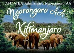 R[q[ L}W SS AA  Iׂx  蓤 R[q[ XyVeBR[q[   400g 800g 1kg 2kgyDRIP TRIPz ACXR[q[  [