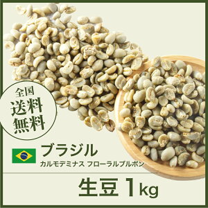 コーヒー 生豆 ブラジル カルモデミナス フローラルブルボン 珈琲 スペシャルティ 送料無料【DRIP TRIP】1kg 2kg 5kg 10kg