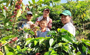 R[q[  RrA EC eEFf QCV yDRIP TRIPz1kg 2kg 5kg