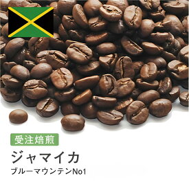 コーヒー豆 ブルーマウンテン No1 ブルーバロン ジャマイカ 受注焙煎 選べる焙煎度合い 送料無料 大山珈琲 珈琲 珈琲豆 コーヒー スペシャルティコーヒー 粉 400g 800g 1kg 2kg【DRIP TRIP】 アイスコーヒー 浅煎 深煎