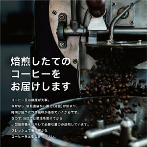 【DRIP TRIP】 コロンビア エキセルソ Qグレード コーヒー豆 受注焙煎 スペシャルティ 選べる焙煎度合い 送料無料 大山珈琲 珈琲 珈琲豆 コーヒー コーヒー豆 スペシャルティコーヒー プレミア