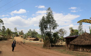 �R�[�q�[ ���� �G�`�I�s�A �O�WG1 �A�i�\�� �A�i�G���r�b�N�i�`������ ���������yDRIP TRIP�z500g 1kg 2kg 5kg