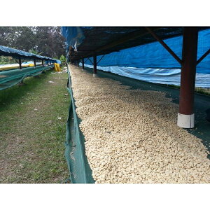 R[q[  pvAj[MjA gsJ}Ee PSC yDRIP TRIPz1kg 2kg 5kg