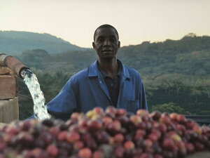 R[q[  WouG NCNo[_ AA EHbV yDRIP TRIPz1kg 2kg 5kg