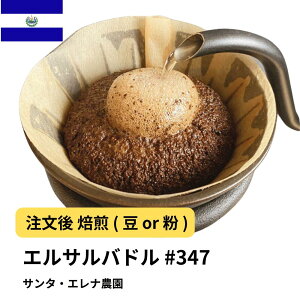 R[q[ GToh@T^EGi_  Iׂx  蓤 R[q[ XyVeBR[q[  yDRIP TRIPz  400g 800g 1kg 2kg #347 ACXR[q[  