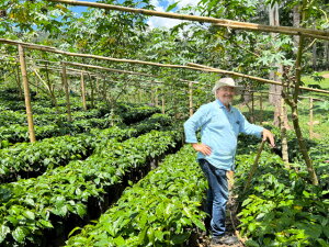 R[q[  jJOA V[W WojJ PN yDRIP TRIPz1kg 2kg 5kg #359