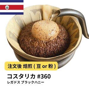 R[q[ RX^J KhX ubNnj[  Iׂx  R[q[ yDRIP TRIPz  400g 800g 1kg 2kg #360 ACXR[q[  [