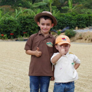 R[q[  RX^J hEIXJ GE|g bhnj[ yDRIP TRIPz1kg 2kg 5kg #361