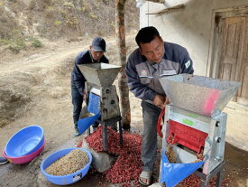 コーヒー生豆 1kg ネパール ヒマラヤン ヴァサンタ ウォッシュ 送料無料 大山珈琲