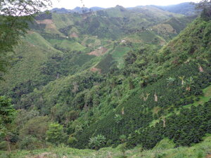 R[q[  RrA EC XE|\X EHbVh  XyVeB yDRIP TRIPz1kg 2kg 5kg 10kg