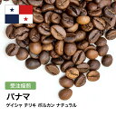 DRIP TRIP コーヒー豆 パナマ ゲイシャ チリキ ボルカン ナチュラル 受注焙煎 選べる焙煎度合い 珈琲 珈琲豆 コーヒー スペシャルティコーヒー 粉 送料無料 400g 800g 1kg 2kg アイスコーヒー 浅煎 深煎