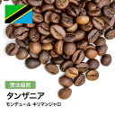 DRIP TRIP コーヒー豆 タンザニア モンデュール キリマンジャロ 受注焙煎 選べる焙煎度合い 珈琲 珈琲豆 コーヒー スペシャルティコーヒー 粉 送料無料 400g 800g 1kg 2kg コーヒー粉 アイスコーヒー 浅煎 深煎