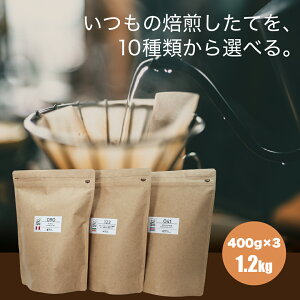 10ނ̃v~AR[q[玩R3Iׂ1.2kgZbgie400gjR[q[ 蓤   