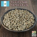 生豆 コーヒー グァテマラ SHB ウエウエテナンゴ ガテマラ スペシャリティコーヒー 1kg 2kg 5kg 10kg 未焙煎 自家焙煎用 珈琲 生豆 DRIP TRIP 送料無料 #4