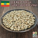 DRIP TRIP コーヒー生豆 1kg エチオピア ゲイシャ ジャスミンG1（ナチュラル） 送料無料