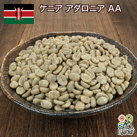 DRIP TRIP コーヒー 生豆 ケニア アダロニア AA 珈琲 スペシャルティ 送料無料1kg 2kg 5kg 10kg