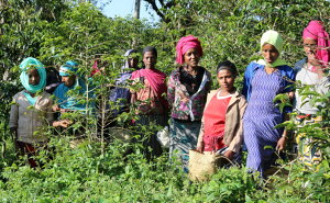 R[q[  G`IsA VFJ G1 JJ~m_ nj[ yDRIP TRIPz1kg 2kg 5kg #356