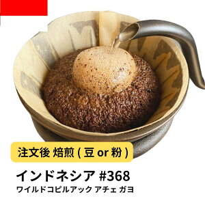 200g R[q[ ChlVA ChRsAbN A`F K  Iׂx  R[q[ yDRIP TRIPz  #368 ACXR[q[  [