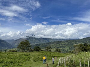 R[q[  RrA m[XT^f[ VL[S[h GNXg yDRIP TRIPz1kg 2kg 5kg #373