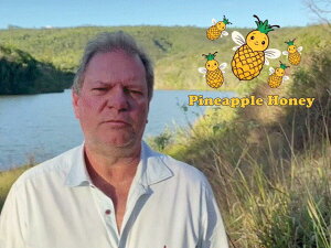 R[q[  uW rX^AO_ pCibvnj[ i` No.2 yDRIP TRIPz1kg 2kg 5kg #375