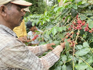 R[q[  Ch ppN`_ t@CuX^ i` A yDRIP TRIPz1kg 2kg 5kg #379