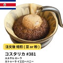 コーヒー豆 コスタリカ エルサル ローラ カトゥーラ イエローハニー 受注焙煎 選べる焙煎度合い 珈琲 【DRIP TRIP】 送料無料 400g 800g 1kg 2kg #381 アイスコーヒー 浅煎 深煎