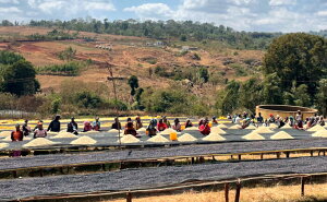 R[q[  G`IsA CK`FtF G1 QfuE`F`F EHbVh yDRIP TRIPz1kg 2kg 5kg #383