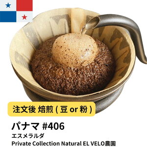 DRIP TRIP �R�[�q�[�� �p�i�}�G�X�������_ 2025�N���b�vPrivate Collection Natural EL VELO�_�� 400g #406