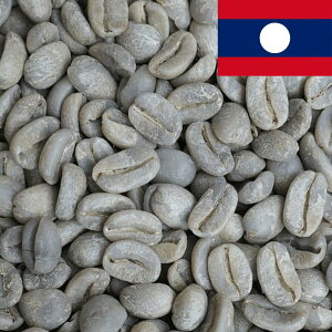 R[q[  IX eBsJ G1 yDRIP TRIPz1kg 2kg 5kg #410