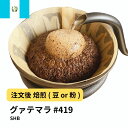 コーヒー豆 グァテマラ SHB バランス DripTrip 送料無料 自家焙煎 受注焙煎 焙煎度が選べる 珈琲豆 豆 粉 大容量 業務用 生豆 ドリップバッグコーヒー ドリップコーヒー 水出しコーヒー #419