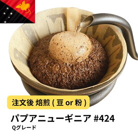 コーヒー豆 パプアニューギニア Qグレード 受注焙煎 選べる焙煎度合い 珈琲 【DRIP TRIP】 送料無料 400g 800g 1kg 2kg #424