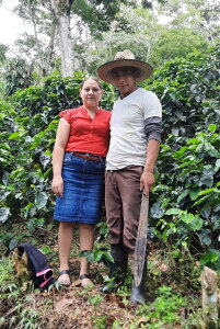 R[q[  zWX TCX_ pCl} EHbVh T^o[o yDRIP TRIPz1kg 2kg 5kg #428