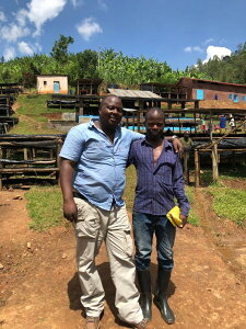 R[q[  _ kBKPPS oz^] tEHbV u{ yDRIP TRIPz1kg 2kg 5kg #429