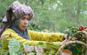 R[q[  ChlVA OCi g EFbgn yDRIP TRIPz1kg 2kg 5kg #432