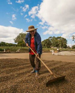 R[q[  uW OCi No2 i` WAi Z[h yDRIP TRIPz1kg 2kg 5kg #433